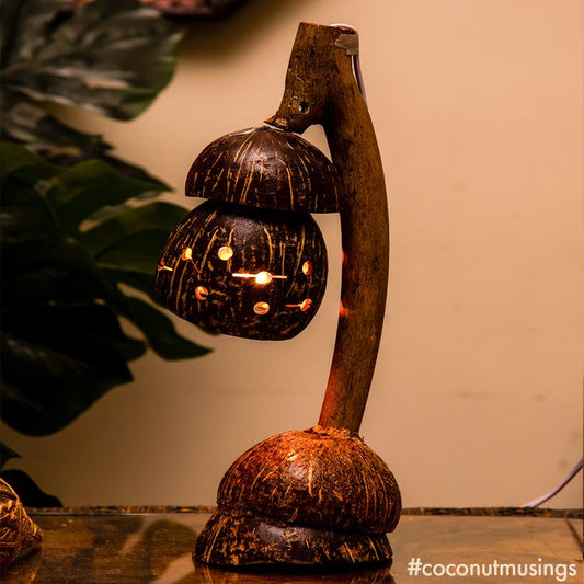 Coconut shale desk lamp